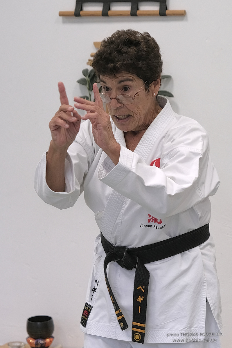  Uechiryu Karate Lehrgang mit Peggy Hess 8.Dan aus Florida/USA am 5.7.2024 