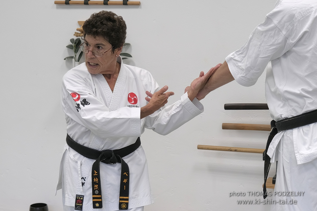  Uechiryu Karate Lehrgang mit Peggy Hess 8.Dan aus Florida/USA am 5.7.2024 