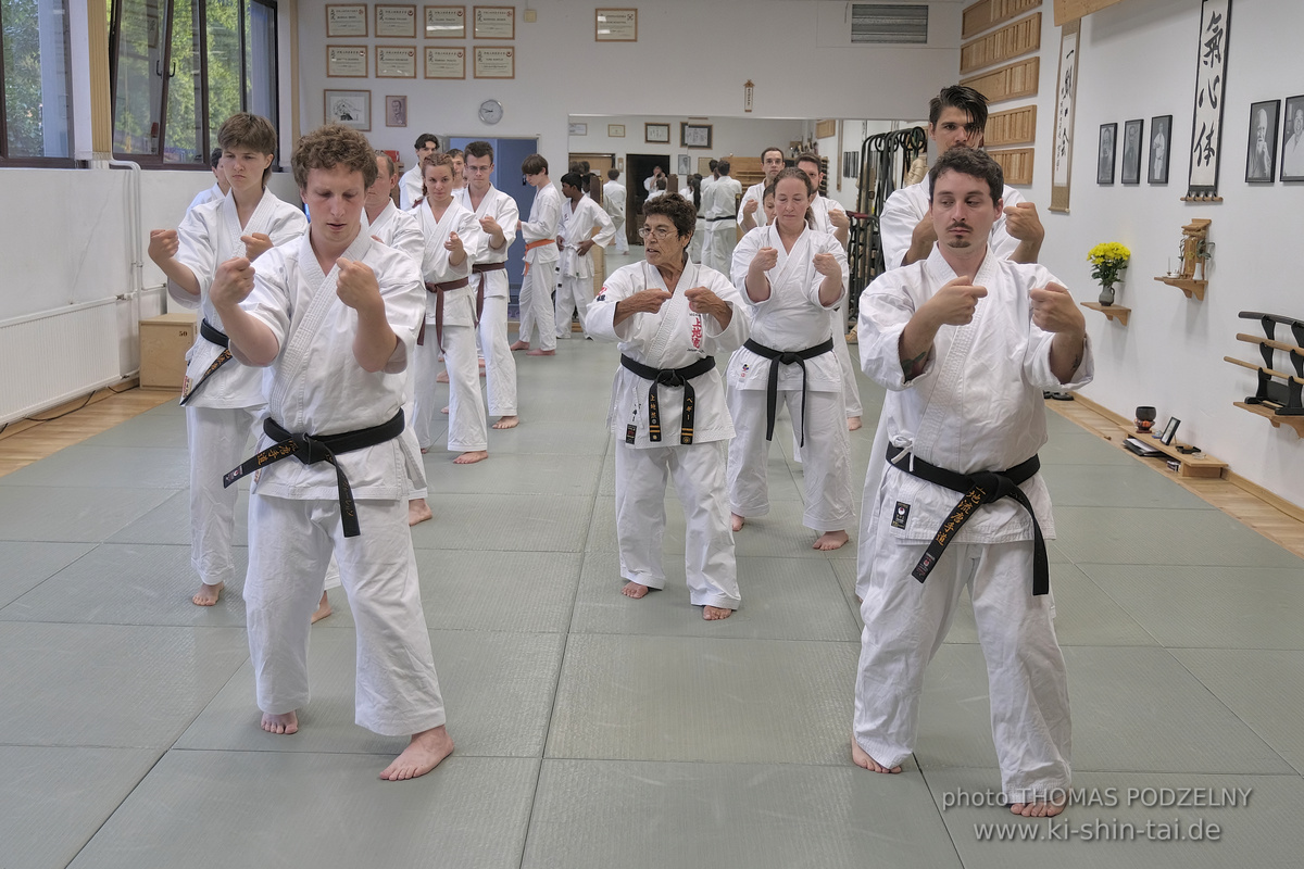  Uechiryu Karate Lehrgang mit Peggy Hess 8.Dan aus Florida/USA am 5.7.2024 